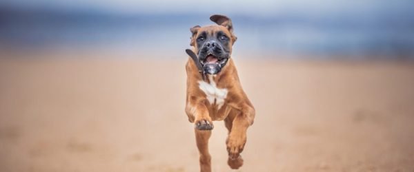 3W3A5893-Edit-Edit-2