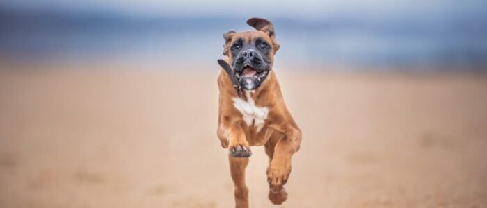 3W3A5893-Edit-Edit-2 3W3A5893-Edit-Edit-2