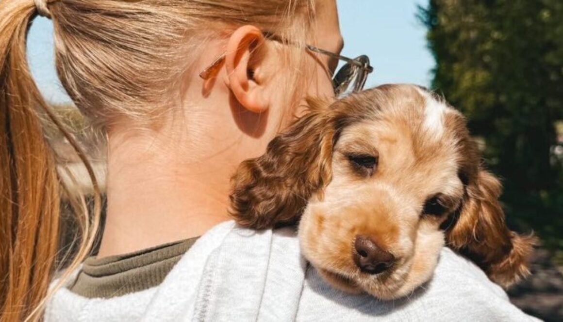 60C867B6-EDF8-49D2-B681-8093E041C97F-2