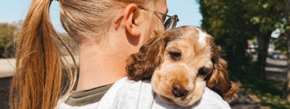 60C867B6-EDF8-49D2-B681-8093E041C97F-2