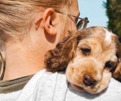 60C867B6-EDF8-49D2-B681-8093E041C97F-2