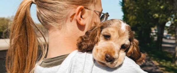 60C867B6-EDF8-49D2-B681-8093E041C97F-2