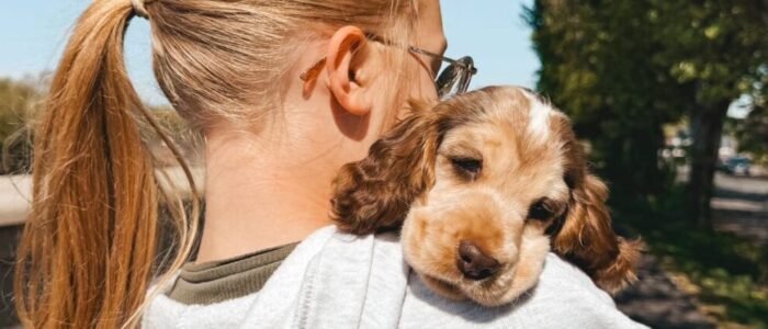 60C867B6-EDF8-49D2-B681-8093E041C97F-2