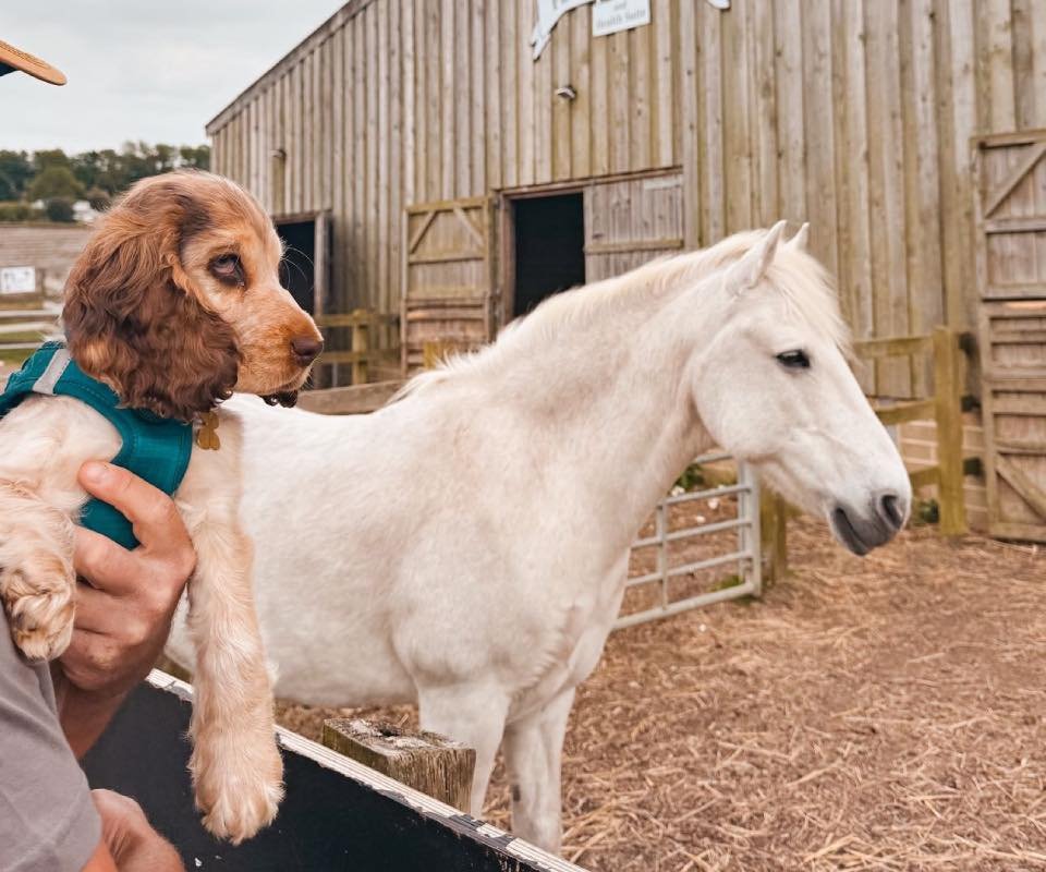 AE75A636-DEF2-4AFA-A548-EC830B9838AB-2