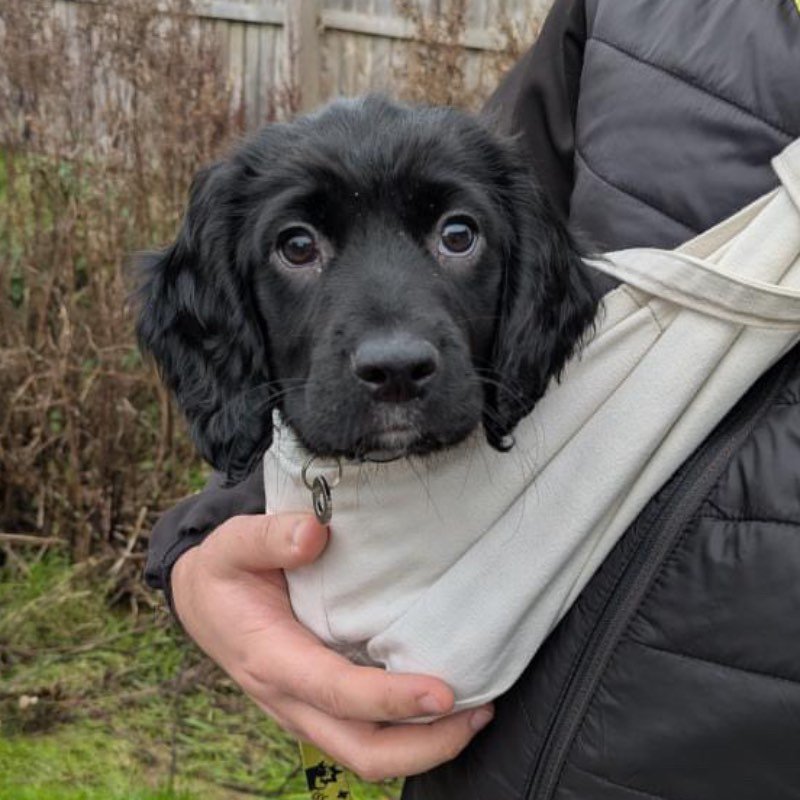 F55497FC-BF1E-4893-AF4D-D060C34F815C-2