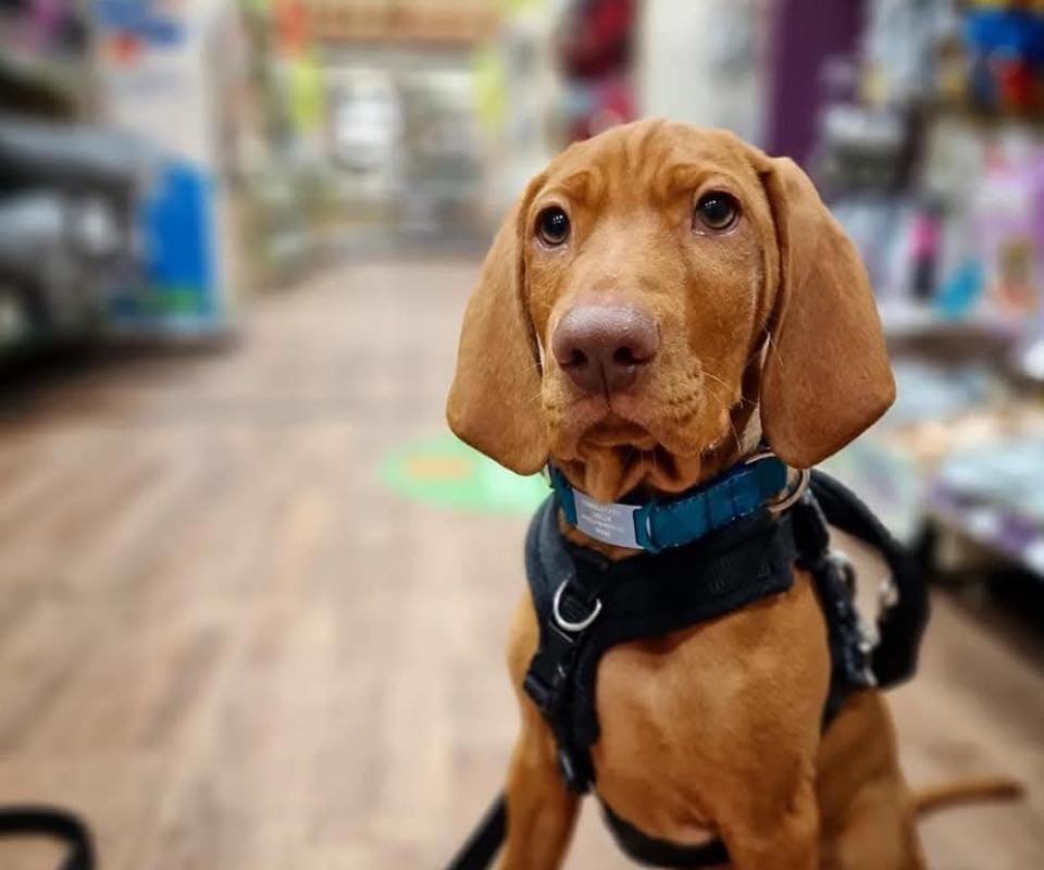 f5434c85-1d33-4426-85b9-477dd1ba06cf-2