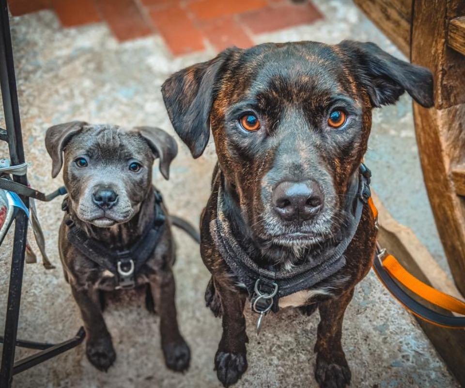 149BCB22-E913-4B0F-801A-68103B63E00E-2