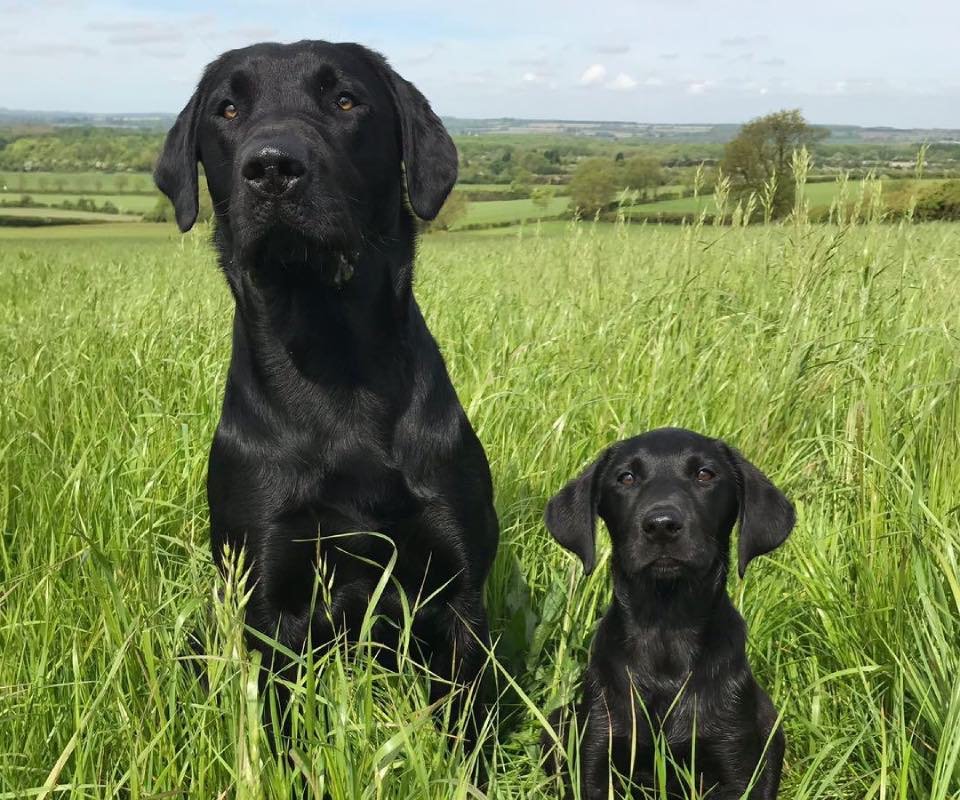 34eeeedb-570b-4afc-a913-0f6658187bdd-2