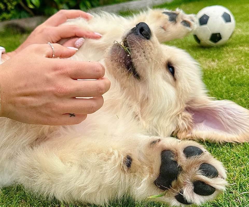 486778A5-E390-4BC5-859F-FD03B607CDA9-2