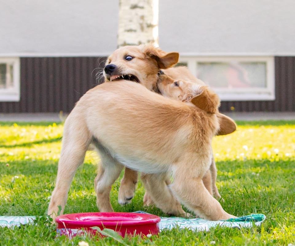 48F8B65D-57BC-46EA-B902-12EB00E78FF0-2