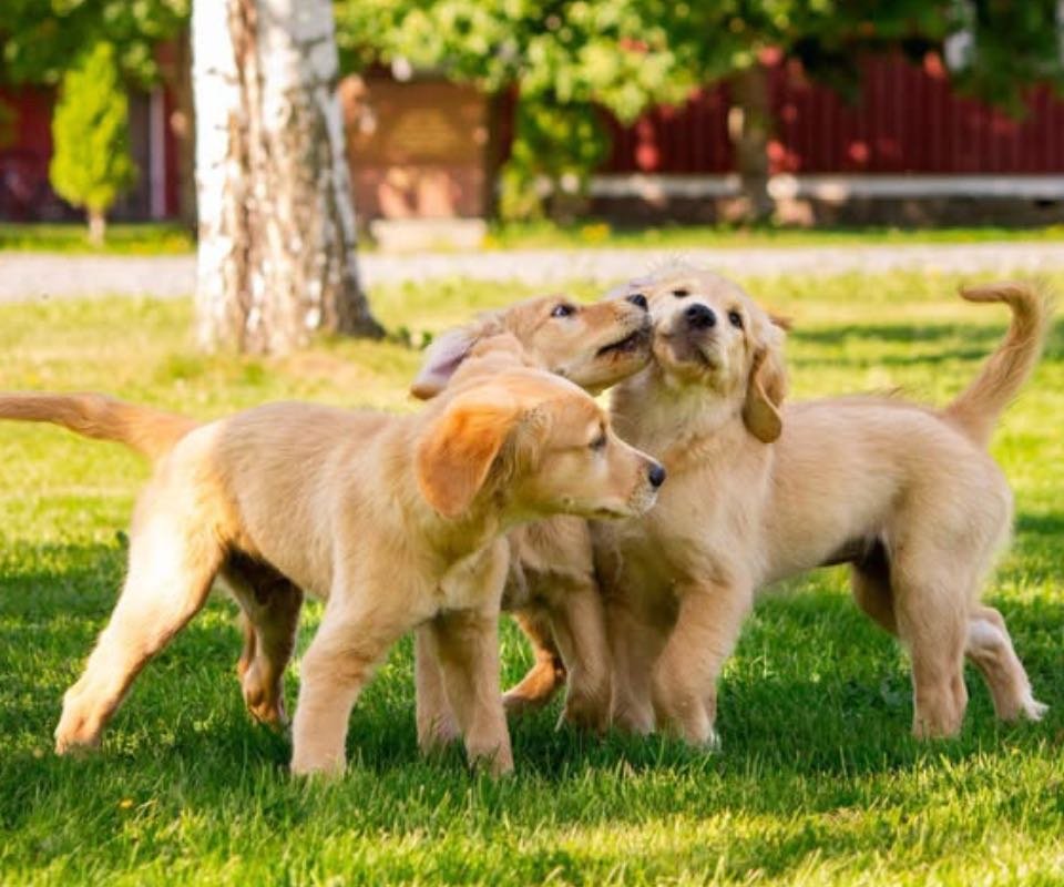 59150845-25AB-44B1-AAFD-9CA4C2FA43CA-4