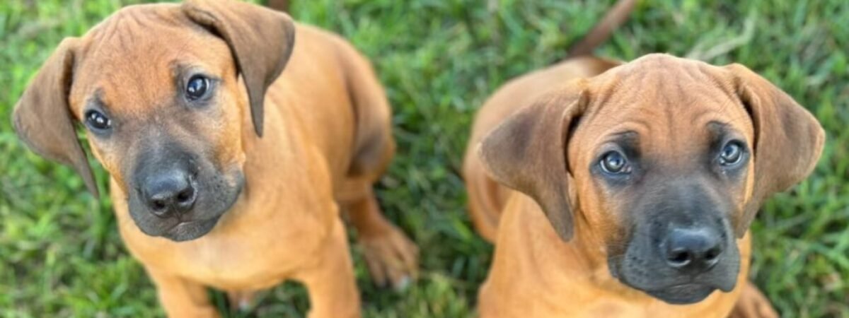 D187E6C8-75AA-4C6A-BBEE-0B420D0E4AD9-2