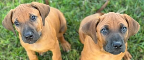 D187E6C8-75AA-4C6A-BBEE-0B420D0E4AD9-2