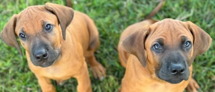 D187E6C8-75AA-4C6A-BBEE-0B420D0E4AD9-2