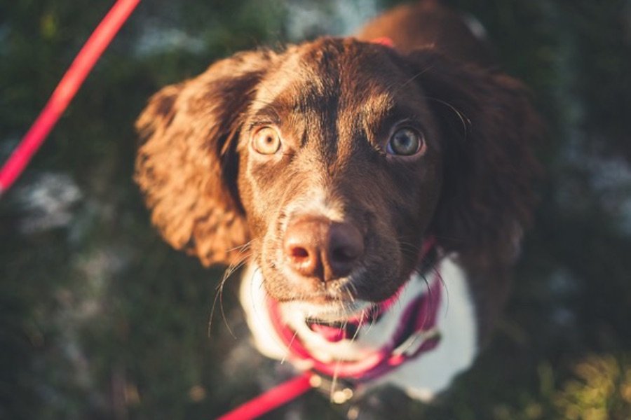 DF3FCDB7-AD51-4BEA-A3AC-45ED0A9D41E9-2