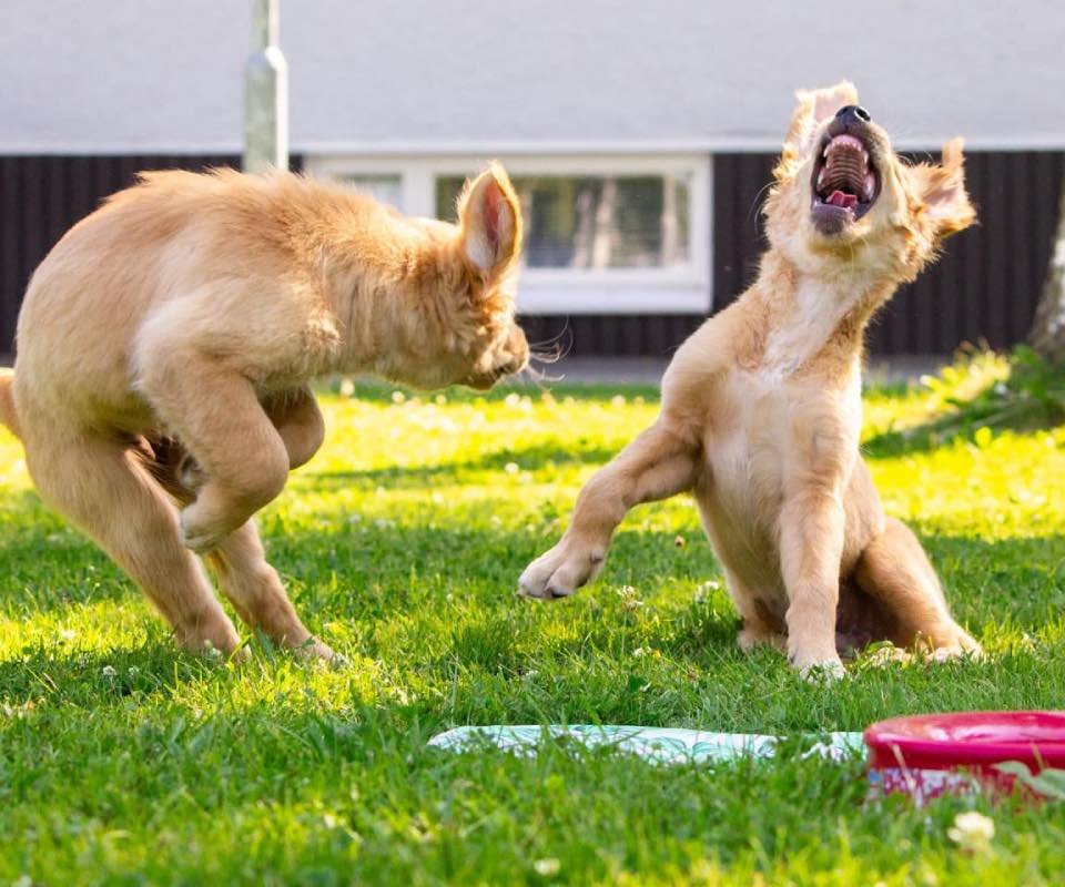 E2BA09AC-740C-44A3-AACF-71D65457CB82-2