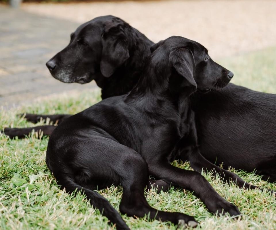 a97cd40e-7d69-4638-bc99-f9c4b7e3e45c-2